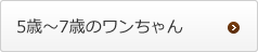 5歳～7歳のワンちゃん