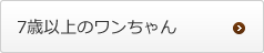 7歳以上のワンちゃん