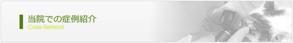 当院での症例紹介