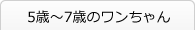 5歳～7歳のワンちゃん