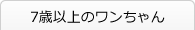 7歳以上のワンちゃん