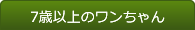 7歳以上のワンちゃん