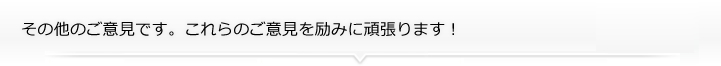 その他のご意見です。これらのご意見を励みに頑張ります！