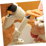 目の検査ポイントのイメージ