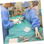 痛みケアのイメージ