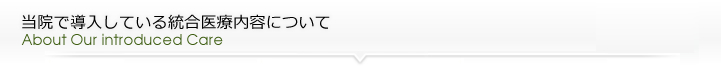 当院で導入している統合医療内容について